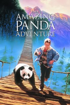 Poster for Amazing Panda Adventure, The
