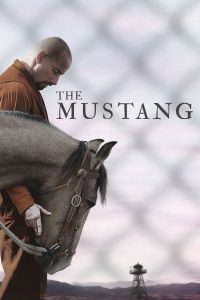 Poster for The Mustang