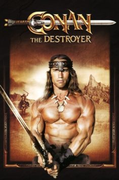 Poster for Conan The Destroyer