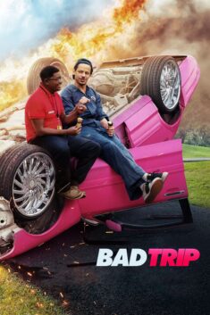Poster for Bad Trip